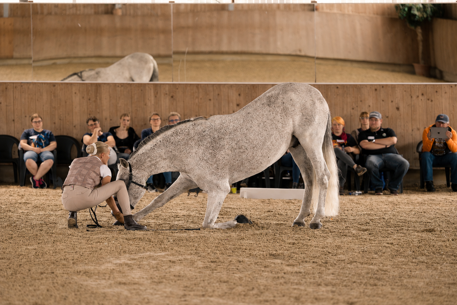 Gymnastische Zirkuslektionen – Einblick in die Ausbildung